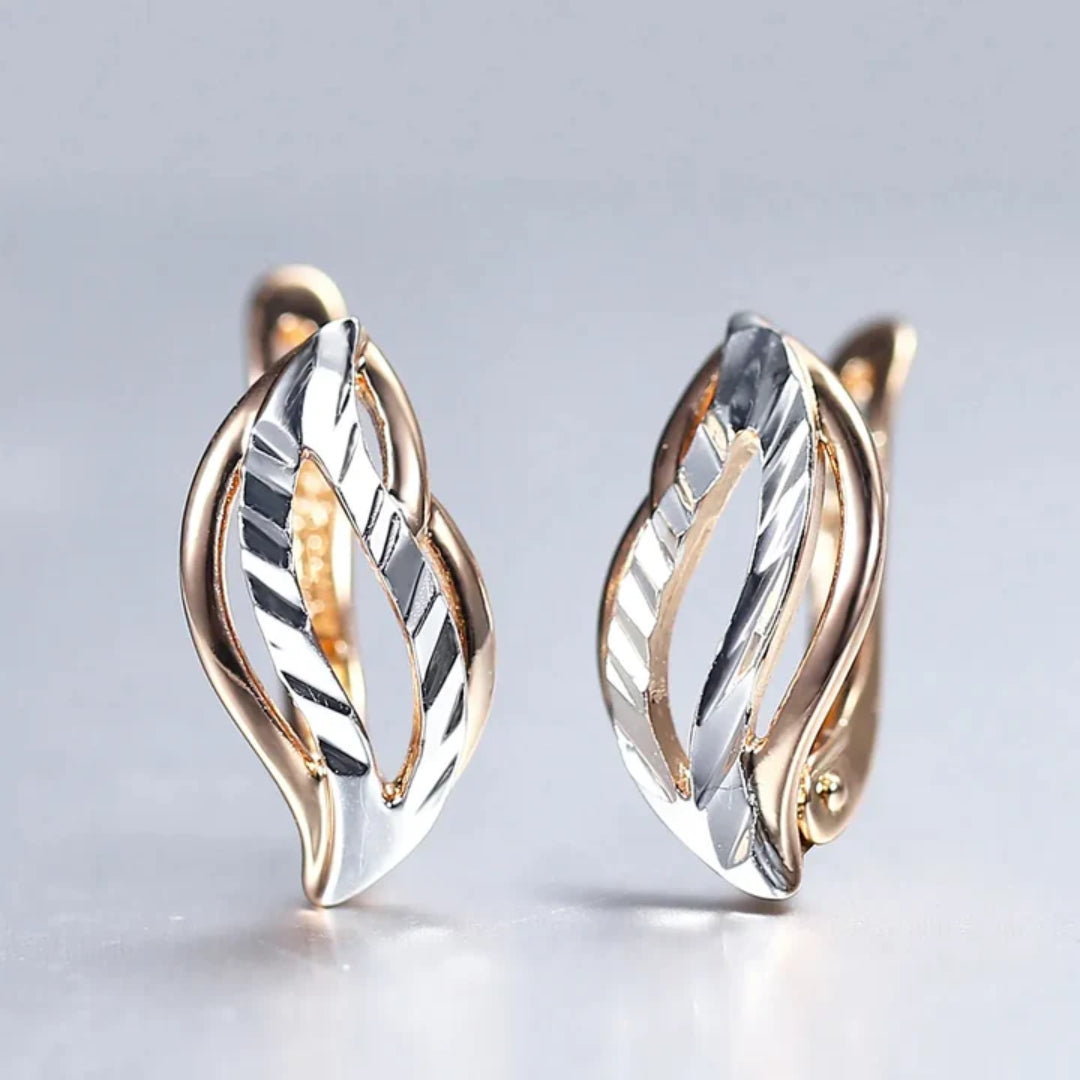 Elegant Gold & Silver Earrings